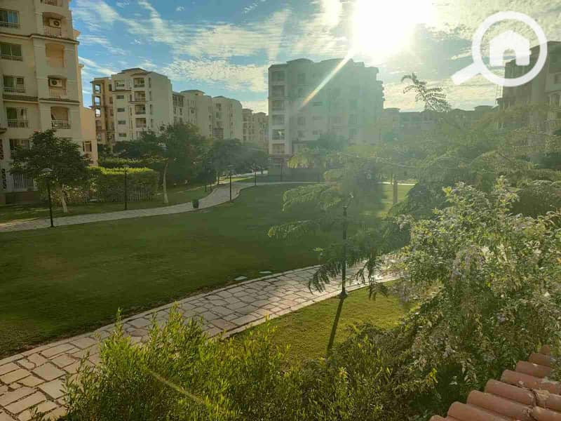 1001013429. jpg 1001013429. jpg