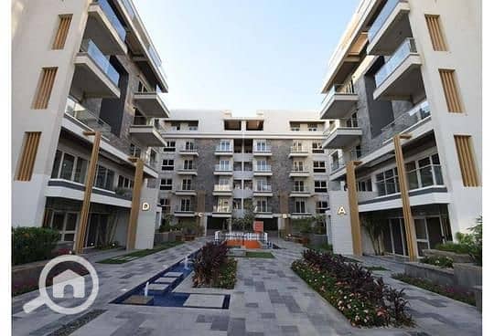 6 1134e516-b24f-11ef-b242-f6fa4ef6522f. jpeg