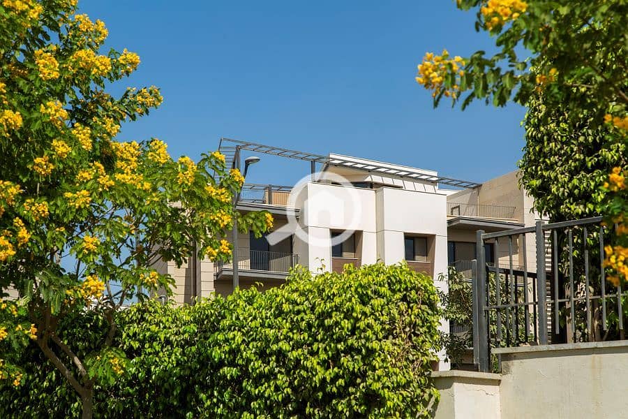 9 renditionDownload (4). jpg