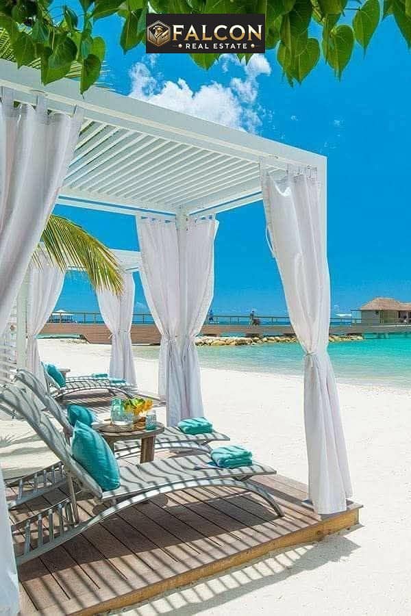 5 938388d9-2d0d-497c-adef-b788a2dd3954. jpg