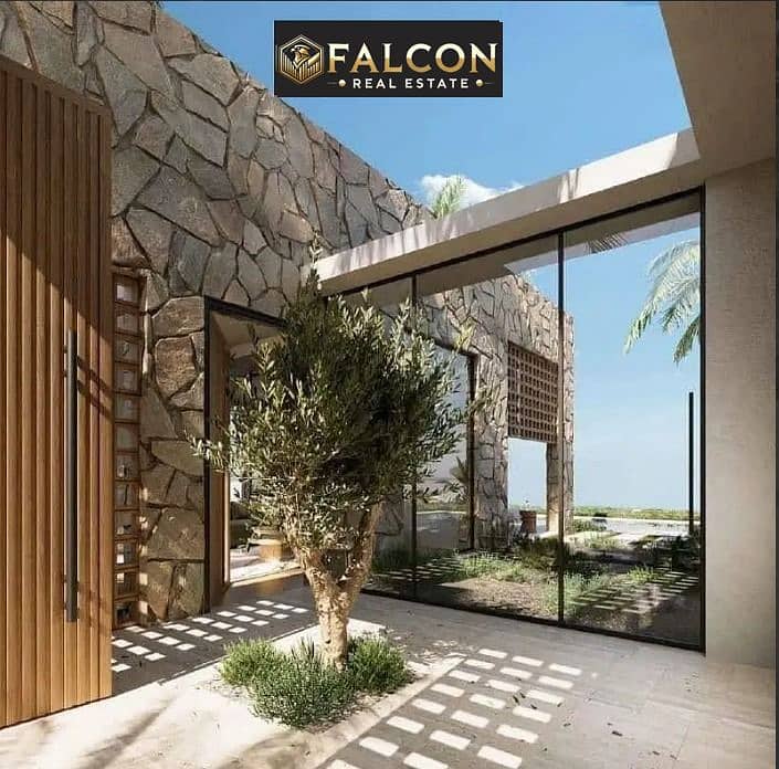 8 cd726082-678b-4fea-9122-9043b728c129. jpg