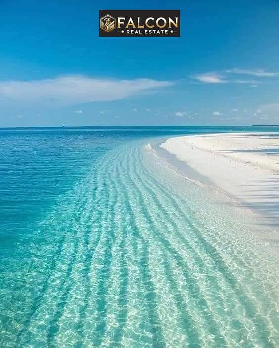 4 eeffeb9e-bb28-4559-91f7-eb27a2b4baa5. jpg