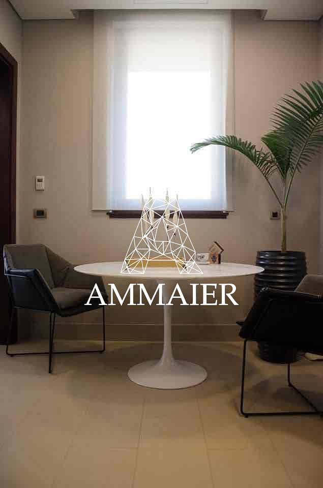 4 a8dbbc8f-ab48-4c6c-af09-9cd06ca9720a. jpg