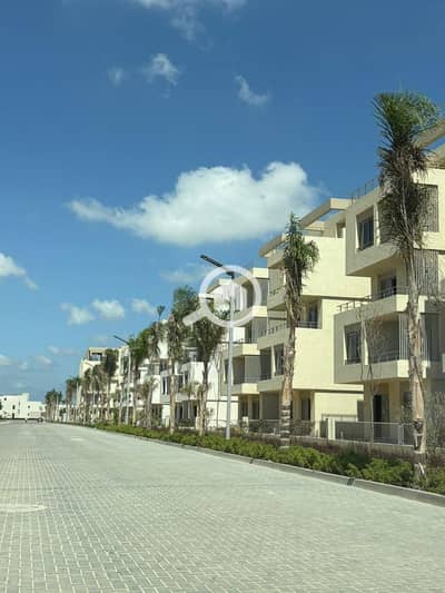 3 Bedroom Flat for Sale in Amreya, Alexandria - 4e6b6ec0-e9b8-4989-92f1-35c646d024be. jpg