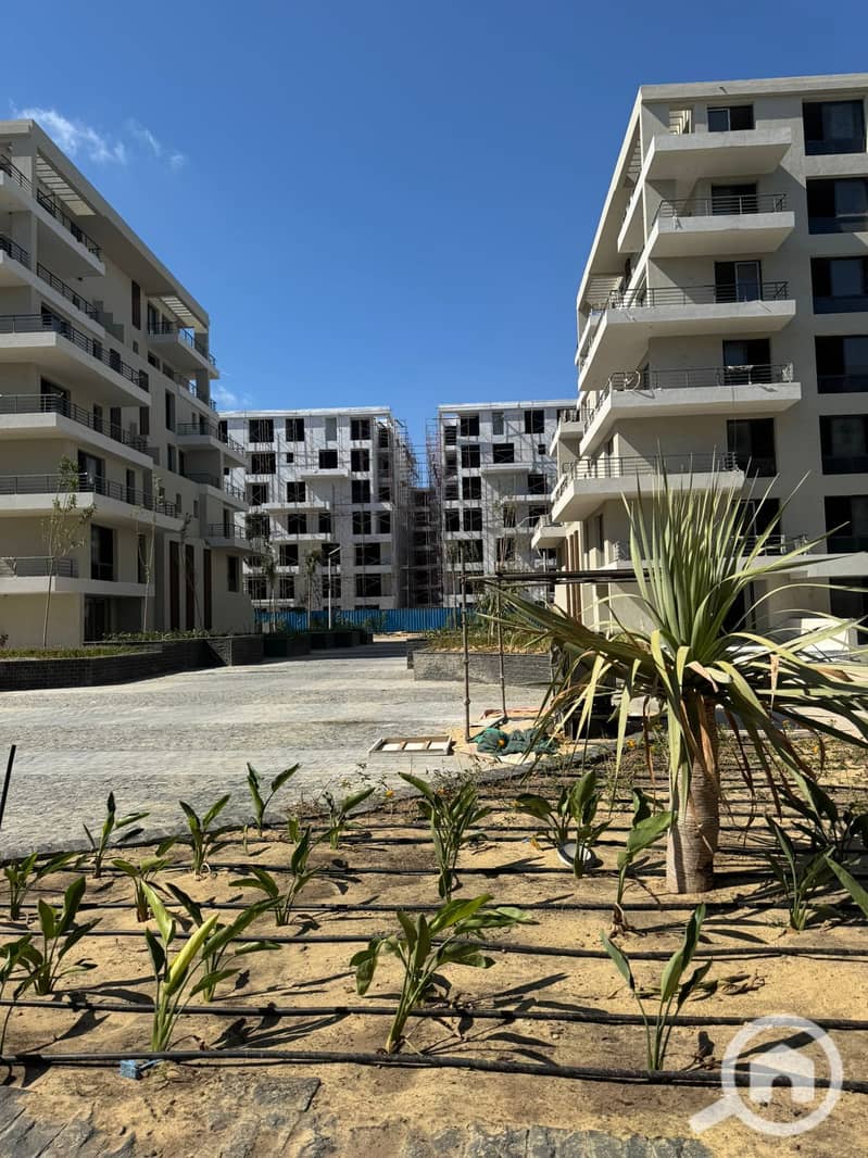 8 864beceb-ca3e-4353-be0c-e7b7ead44d0a. jpg