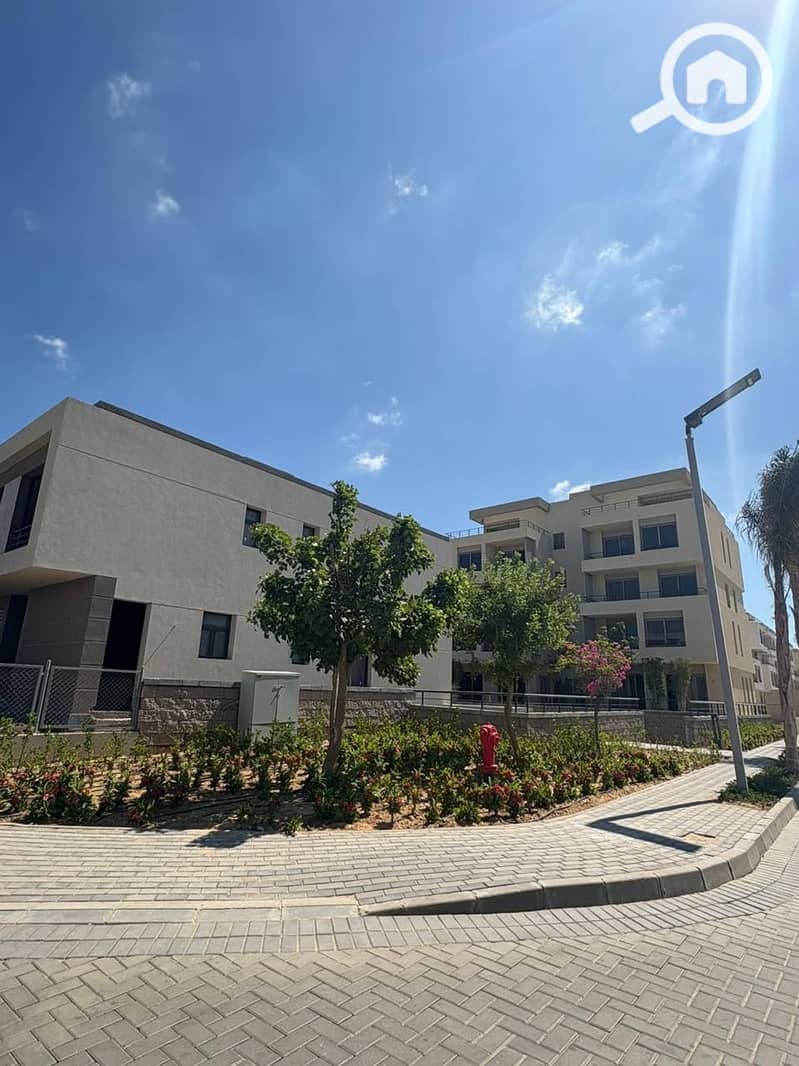 10 palm Hills Alex. jpg