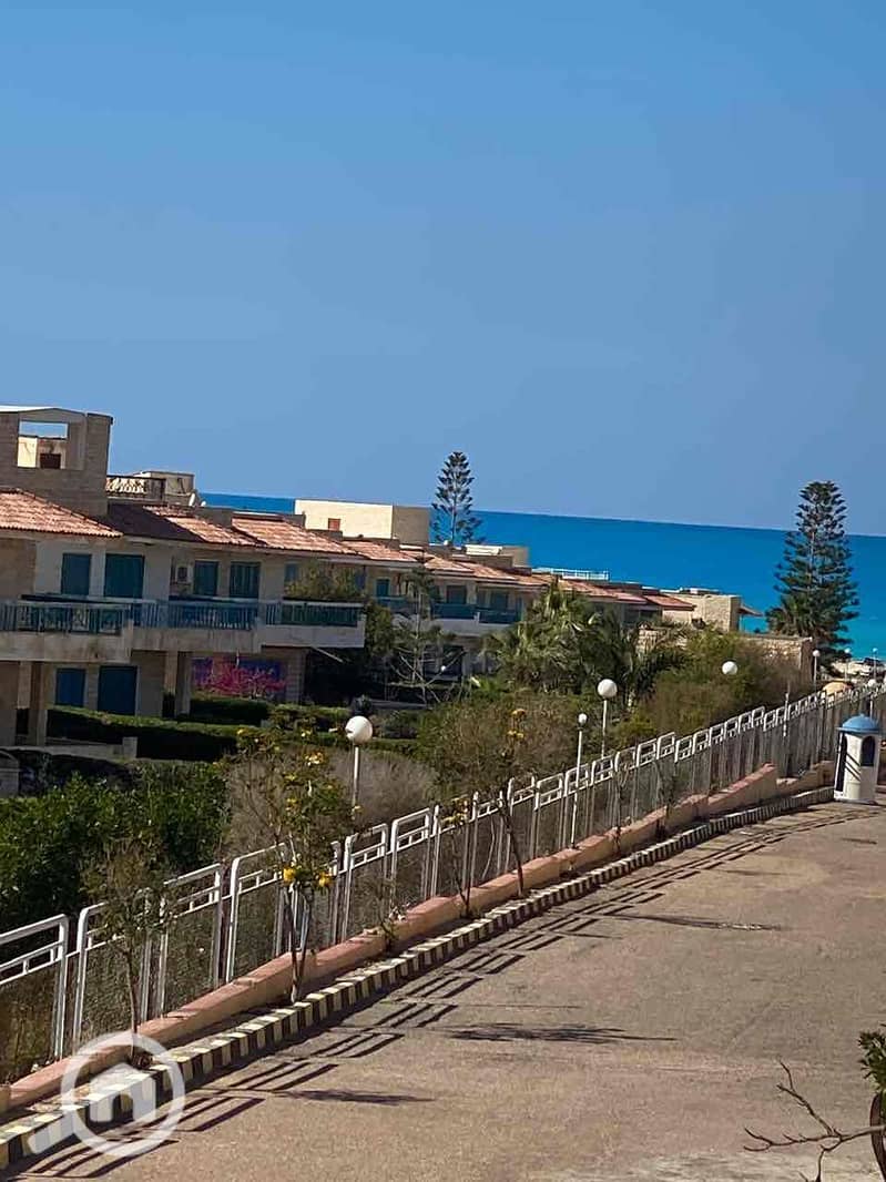 9 df706662-713a-4a0d-b893-6d37fc91c316. jpg