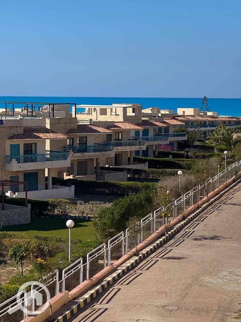 14 8f9a0cd4-d381-4ebd-8492-d55a73748c95. jpg