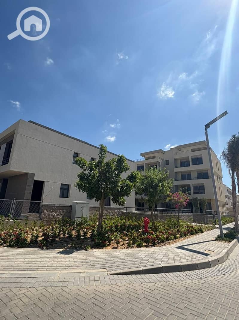 6 palm Hills Alex. jpg