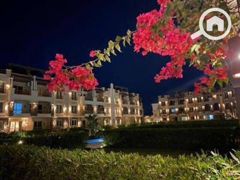 5 WhatsApp Image 2025-04-22 at 1.45. 36 PM (3). jpeg