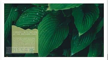 8 3a981115-89de-4cac-81ca-86fb58c8cf77. jpg