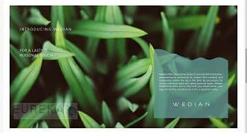 12 6fb44a18-c1fd-4ecd-89b6-82047fb5af58. jpg