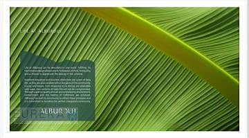 18 1de0a395-38e5-4cde-8c3d-afc9c9ef082a. jpg