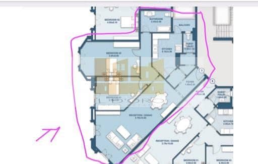 3 WhatsApp Image 2025-12-04 at 1.01. 03 PM. jpeg