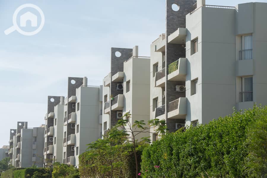 2 PHOTO-2025-01-02-12-11-31. jpg