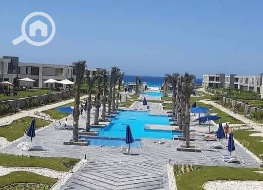 4 890933d3-ff9f-4e0f-9077-e88a1a1aaf71. jpg