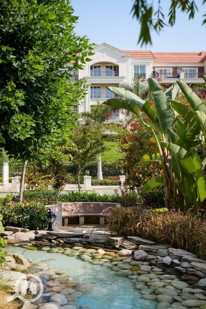 6 التجمع الخامس (8). jpeg