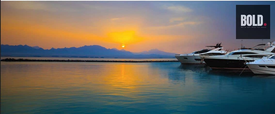 7 Screenshot 2025-12-04 155427. png