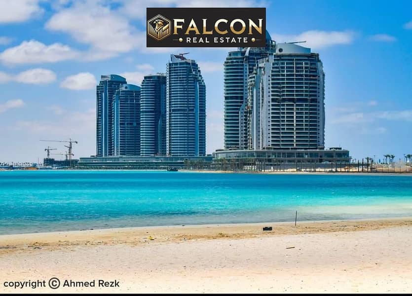 11 d25adf04-09a4-4e74-b387-569054e4ceed. jpg