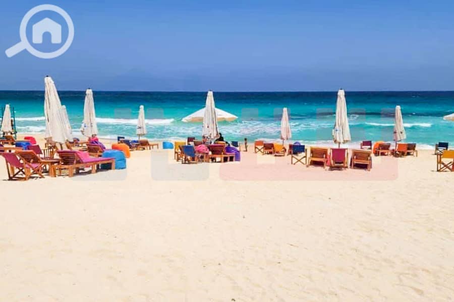 8 WhatsApp Image 2024-02-15 at 2.03. 14 PM (2). jpg