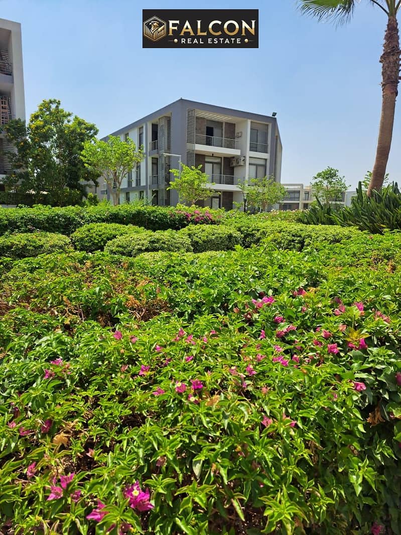 11 465714085_122147093330316308_2146117366018724619_n. jpg