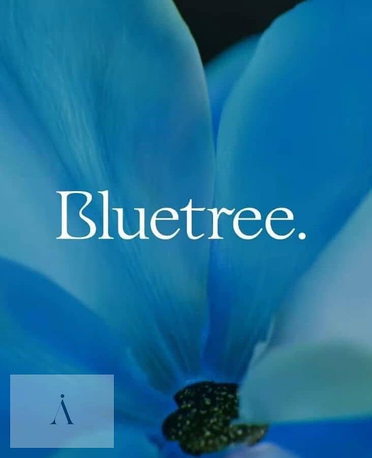 8 WhatsApp Image 2025-11-24 at 4.52. 36 PM (3). jpeg