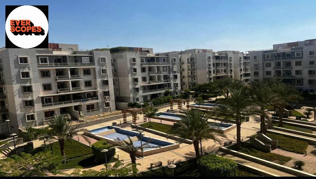 4 566329271_24940207938924678_1261234439060379644_n. jpg