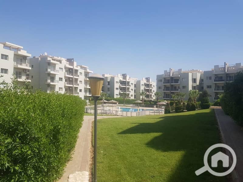 6 WhatsApp Image 2025-04-16 at 14.17. 07_a3d315db. jpg