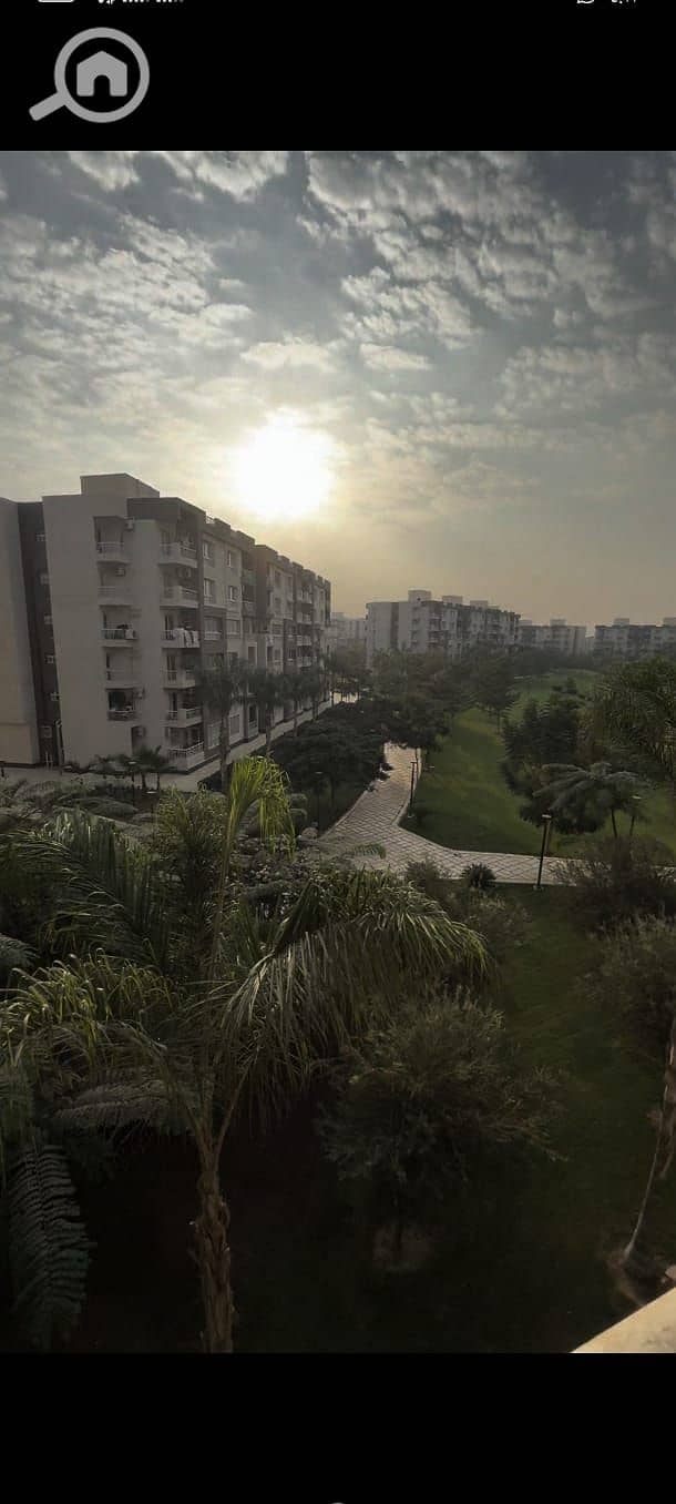 4 8de9487c-fd62-4c43-83ed-eee5c9c516c7. jpg