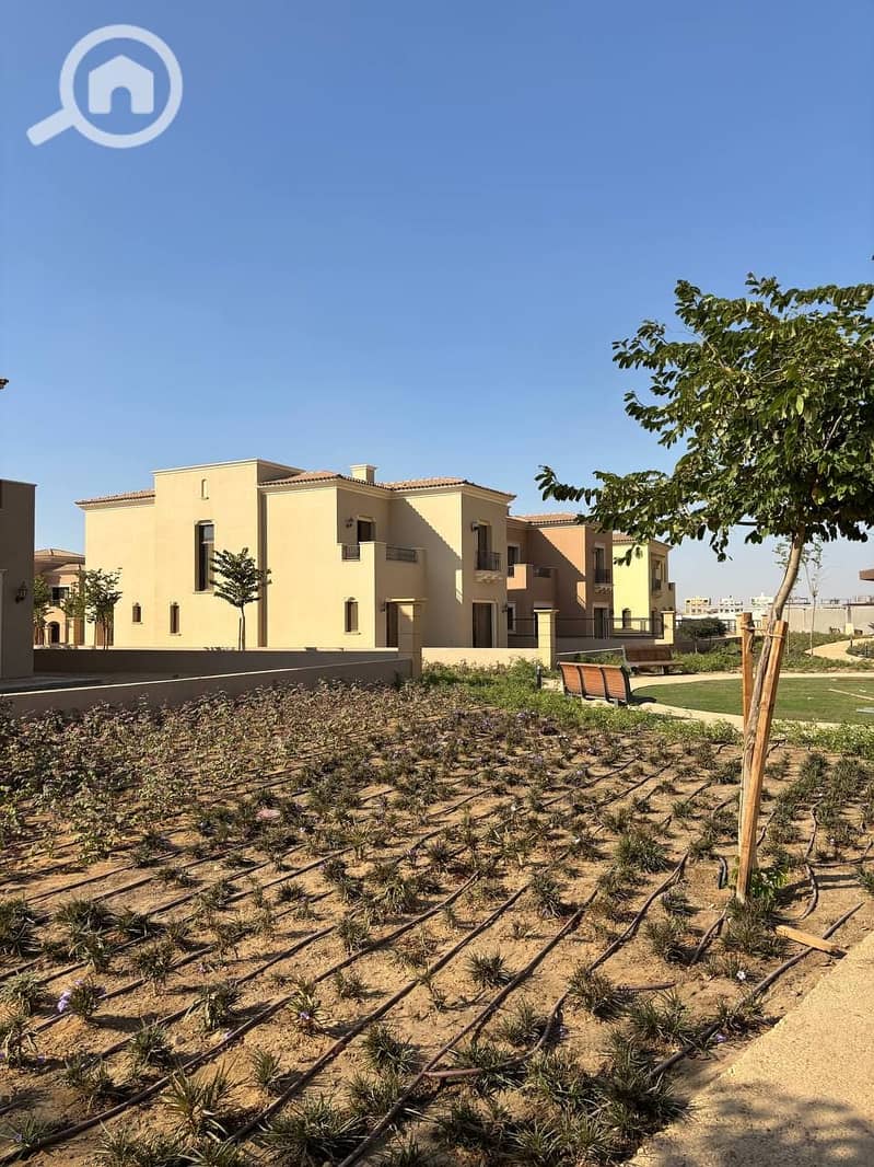 2 photo_2025-10-28_18-33-41. jpg