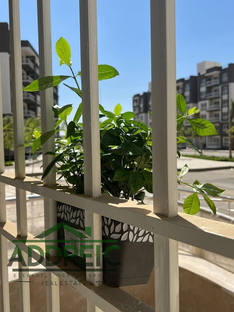 IMG-20251204-WA0007. jpg IMG-20251204-WA0007. jpg