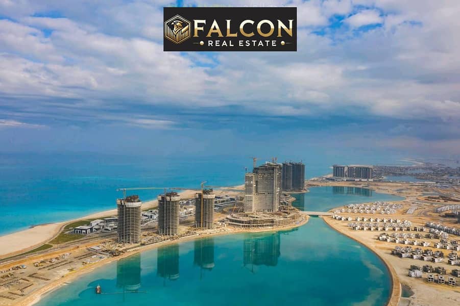 4 282688947_100932179318725_1849130245662998061_n. jpg