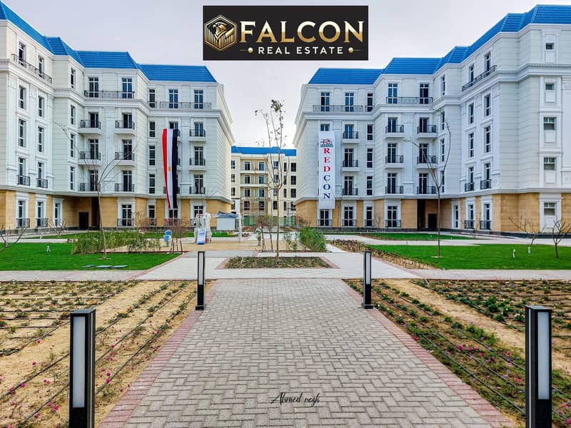 10 340136066_919326159307762_2461707839616130309_n. jpg