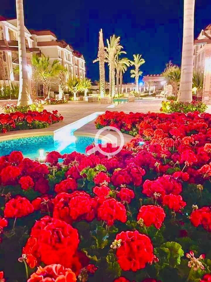 12 IMG-20251202-WA0025. jpg