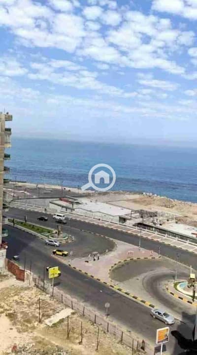 2 Bedroom Apartment for Rent in Miami, Alexandria - 1000223510. jpg