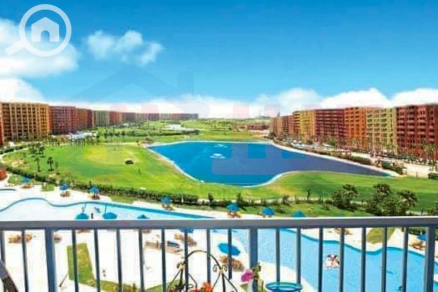 IMG-20241208-WA0011. jpg IMG-20241208-WA0011. jpg