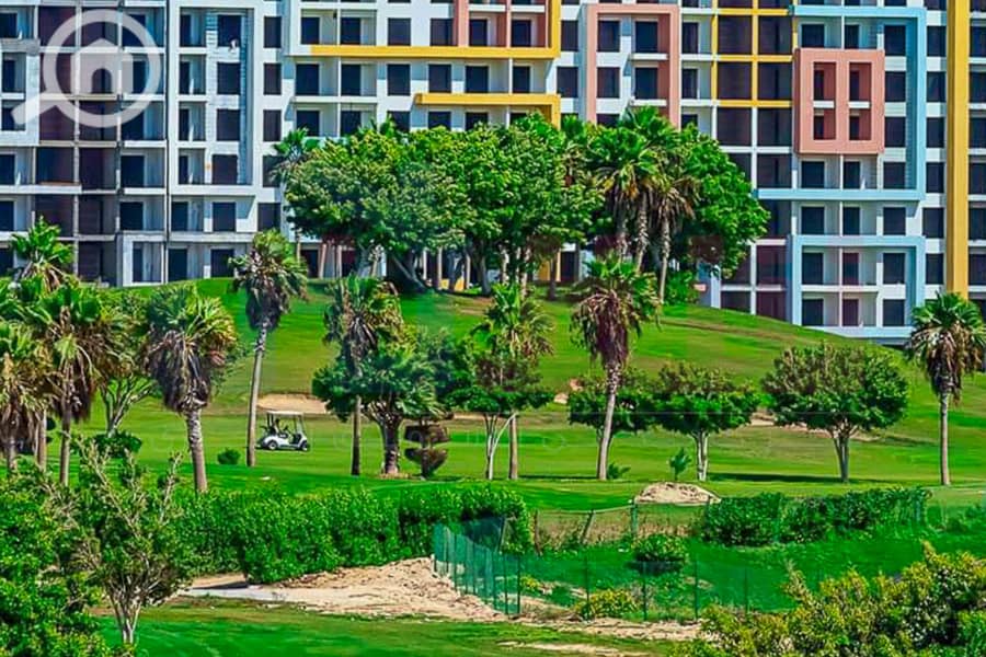 11 WhatsApp Image 2025-05-06 at 12.31. 23 PM. jpg