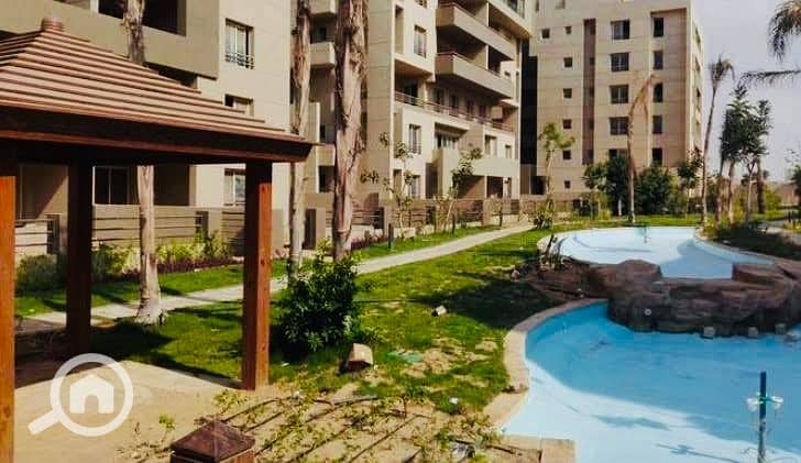 10 IMG_3754 (3). jpg