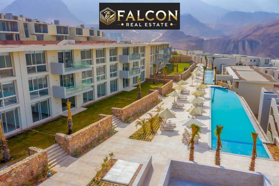 3 464732177_1322981858798376_3104820173629134068_n. jpg