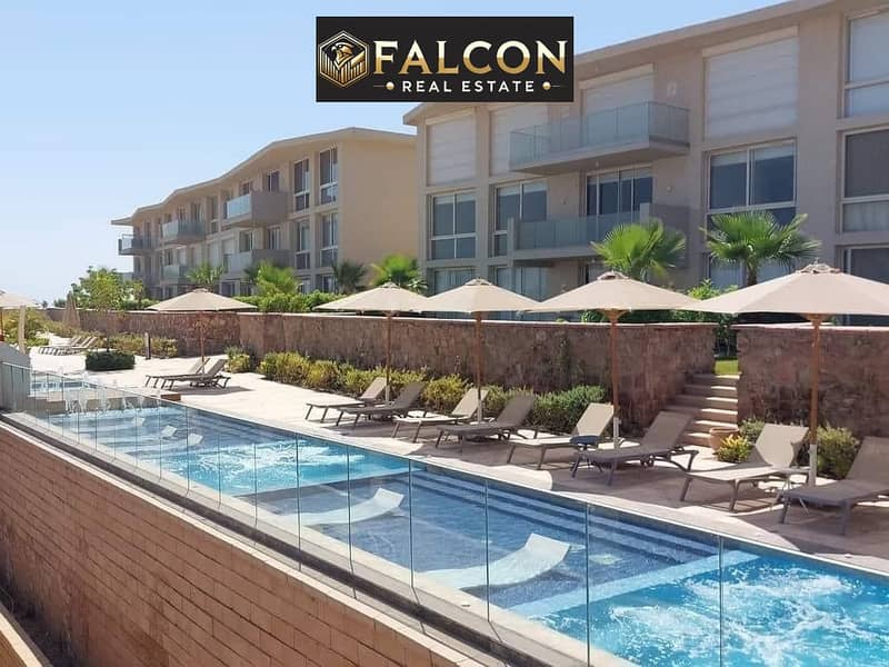 8 464626926_122123473076485951_4406518103038027462_n. jpg