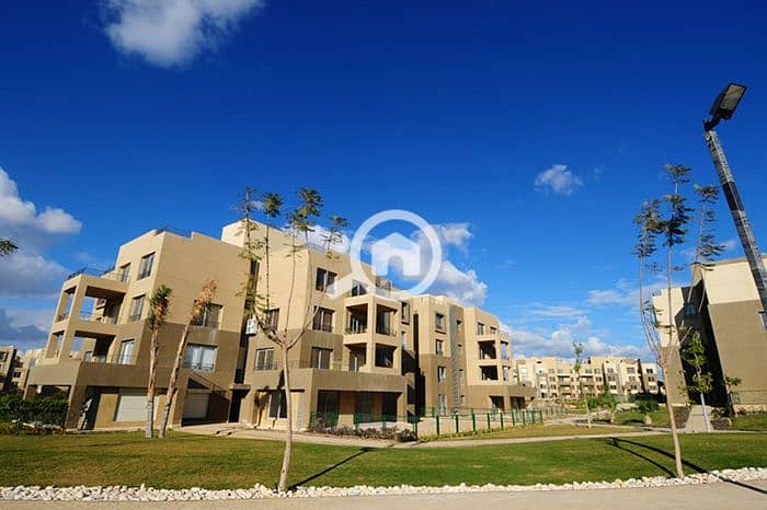 5 AW2yRkJX56h71ddslekV3DqIF5octI. jpg