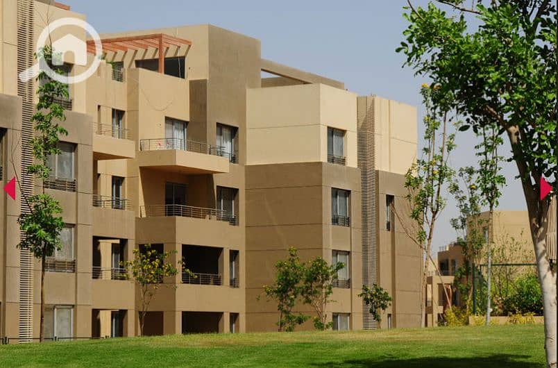 6 97d7d254-9a17-4154-a0eb-d004297be96d. png