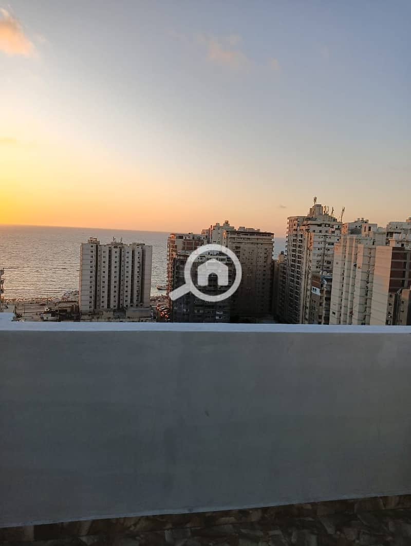 2 8fa8ef5e-6d07-4816-ab5f-f423f03ab370. jpg