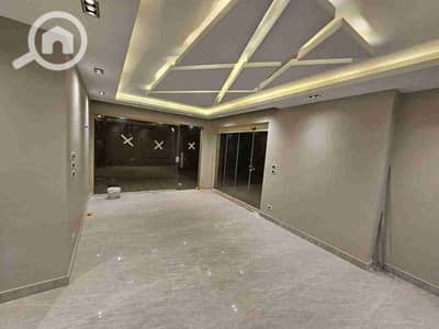 دوبلكس 4 غرف نوم للبيع في القاهرة الجديدة، القاهرة - 1000200130. jpg