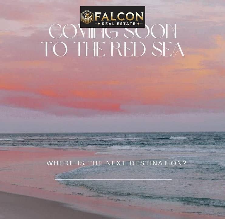 3 557628305_1442188020227137_6365464701800994655_n. jpg