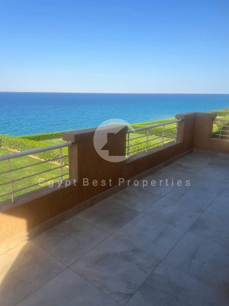 2 594058939_723539707463666_8484728601849854679_n. jpg