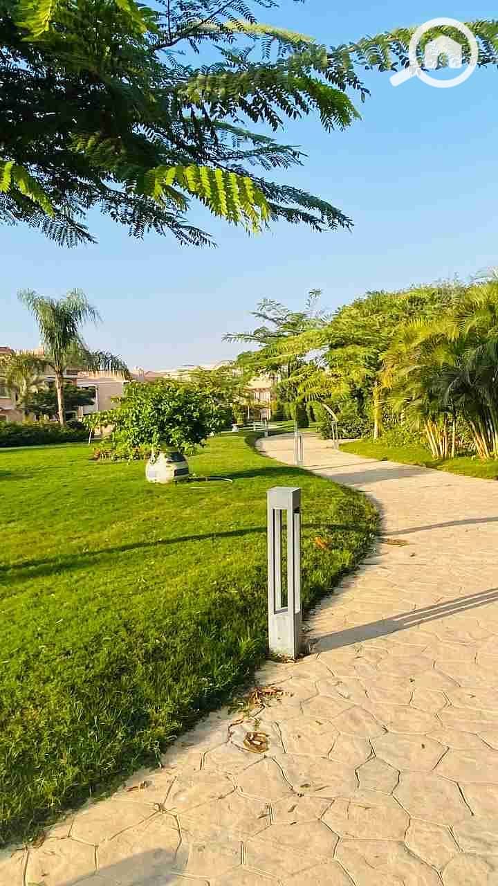 6 IMG_20240818_124514_179. jpg