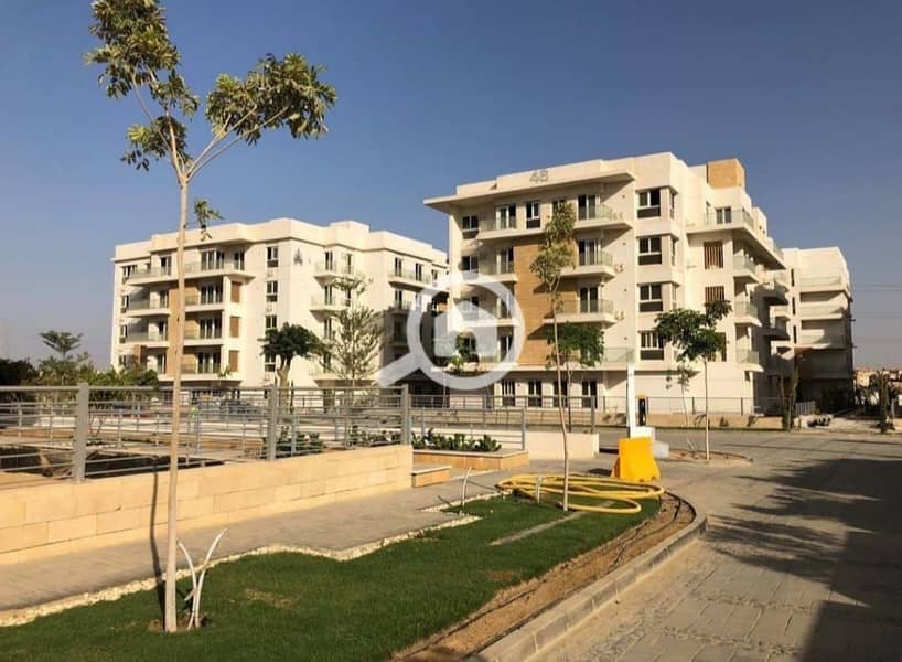 4 WhatsApp Image 2024-06-06 at 1.33. 48 PM (1). jpeg