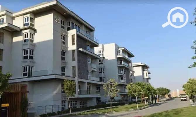 5 WhatsApp Image 2024-06-23 at 1.01. 24 PM (1). jpeg