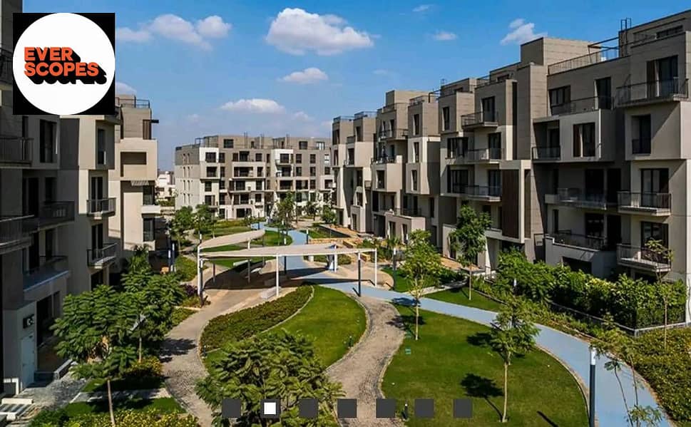 10 550673823_122130060080925626_569797353758806699_n. jpg